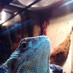 Meet your Posher, Randy